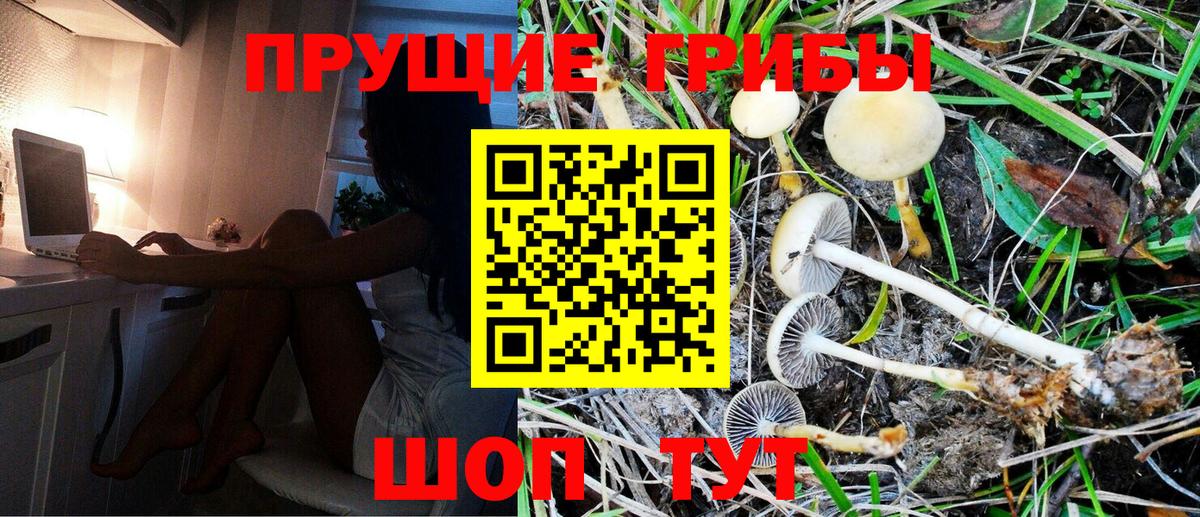 Псилоцибиновые грибы MAGIC MUSHROOMS Среднеуральск