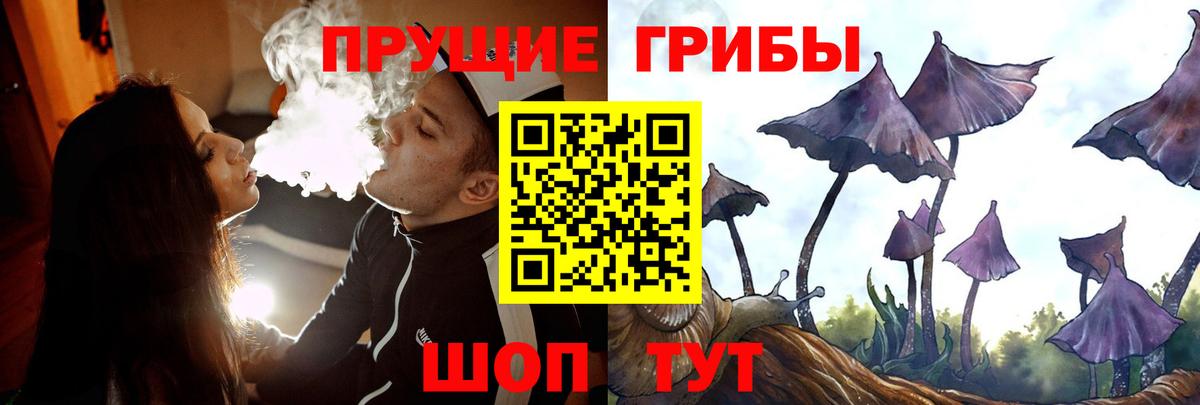 Псилоцибиновые грибы мицелий  Вход с VPN  Среднеуральск 